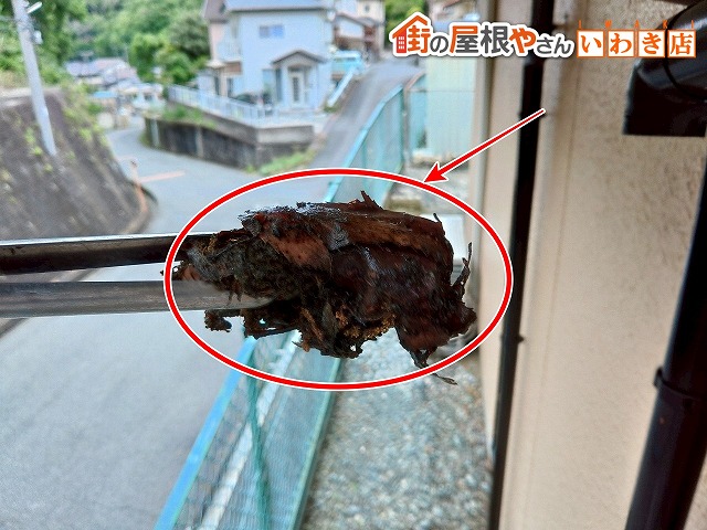 福島県いわき市　竪樋に詰まっていた枯葉などを除去しているところ