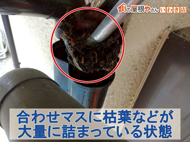 福島県いわき市　合わせマスに大量の枯葉などが詰まっている状態