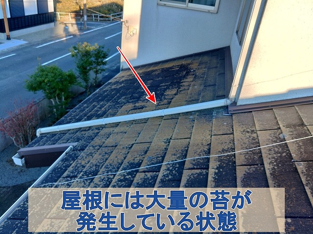 福島県双葉郡広野町　屋根には大量の苔が発生している状態