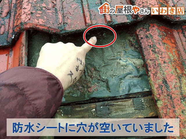 福島県いわき市　瓦屋根の下にある防水シートに穴が開いている状態