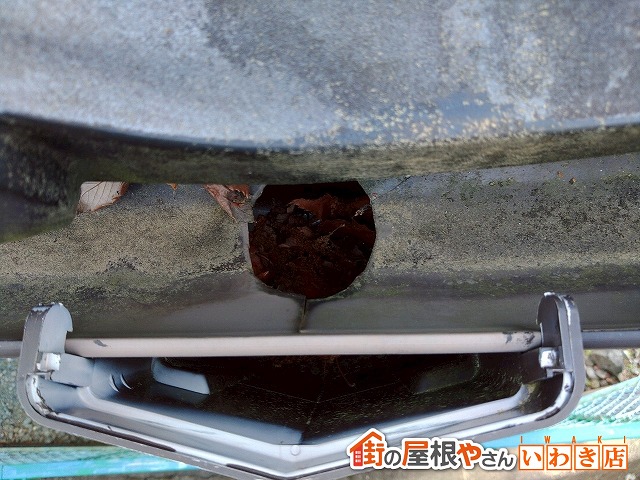 福島県いわき市　集水器に枯葉が詰まっている状態