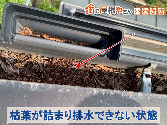 福島県いわき市　雨樋に枯葉が詰まって排水できない状態