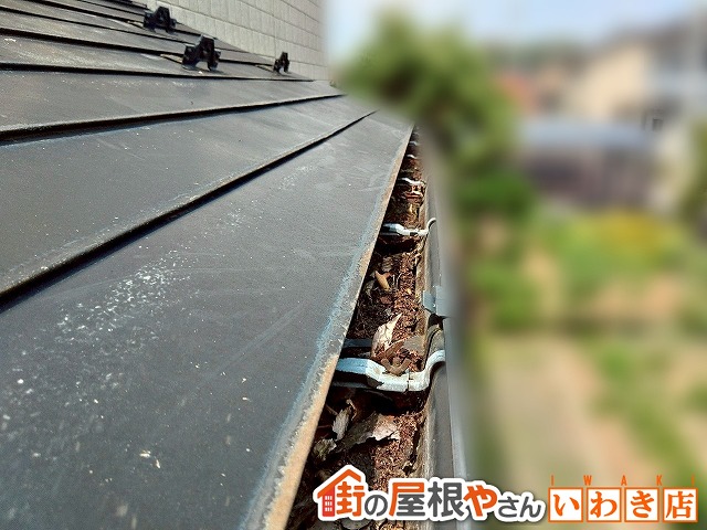 福島県いわき市　枯葉が詰まった雨樋の状態