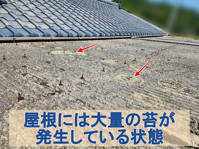 福島県三春町　倉庫の波板屋根には大量の苔が発生している状態