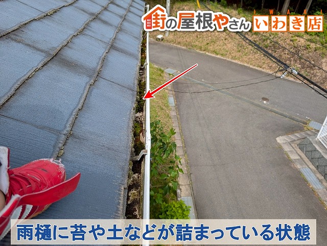 福島県郡山市　雨樋に土が溜まり苔が発生している状態