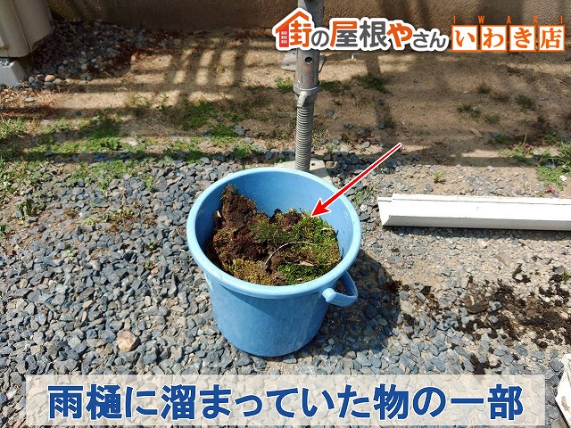 福島県郡山市　雨どいに溜まったいた土などを一部集めた状態