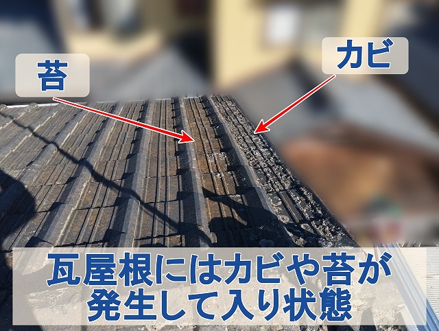 福島県いわき市　瓦屋根には苔やカビが発生している状態