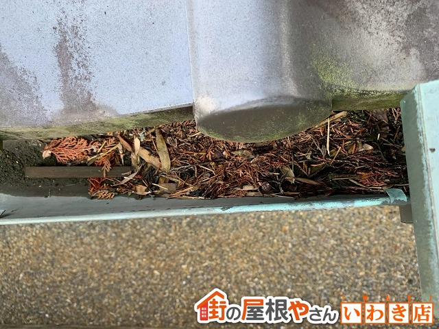 福島県楢葉町　軒樋部分に枯葉が溜まっている状態