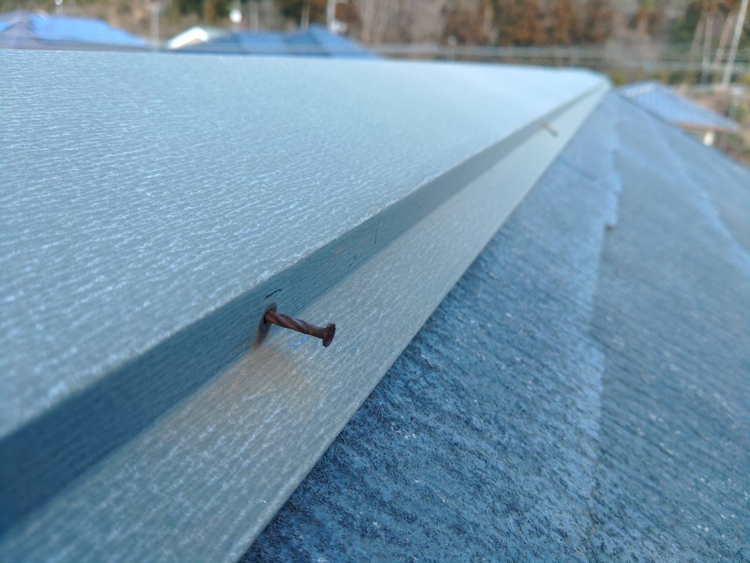 棟板金の釘が外れてきている