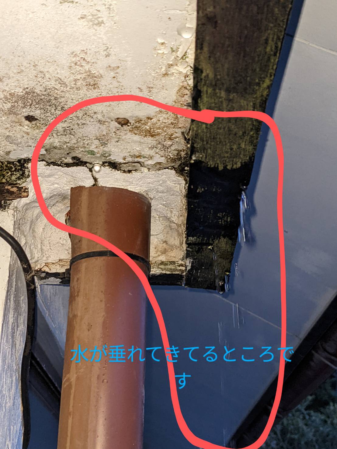 縦樋の天井につながる部分が腐食している