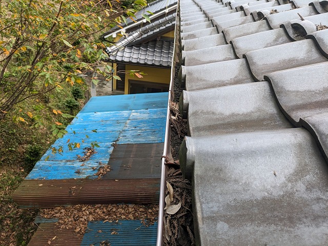 雨樋に落ち葉が溜まっている状態