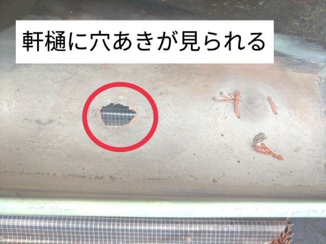 軒樋に穴あきが見られる