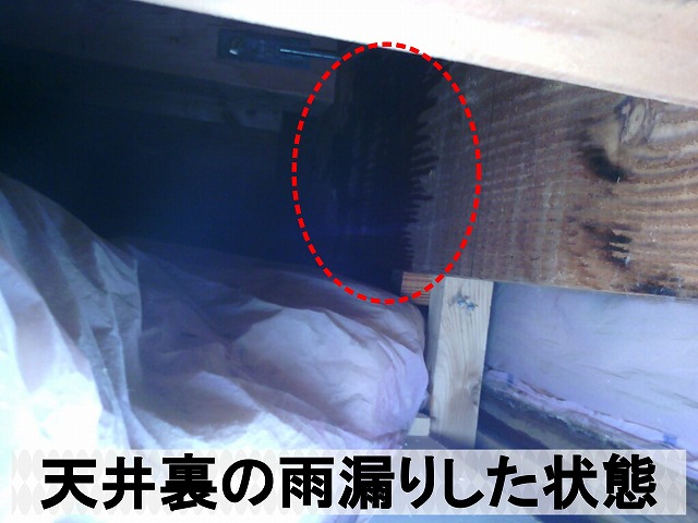 天井裏の雨漏りした状態の写真