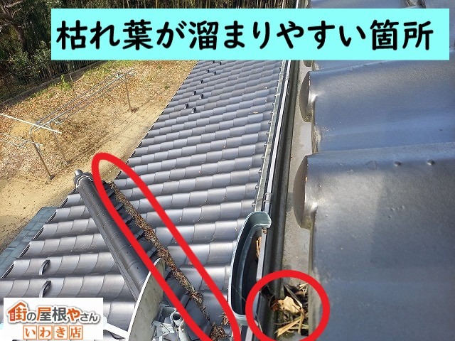 枯れ葉が詰まりやすい箇所の集水器と谷板金部分に目印がついている