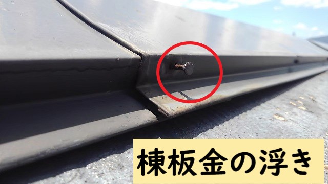 棟板金の釘が浮いている