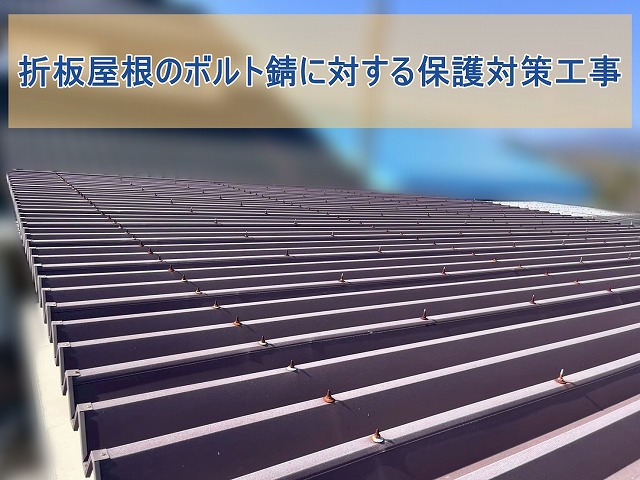 折板屋根のボルト錆に対する保護対策工事実施前