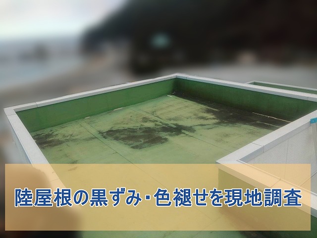 陸屋根の黒ずみと色褪せを現地調査している