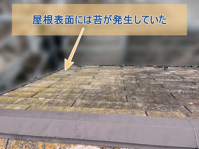 屋根表面には苔が発生していることが確認できた