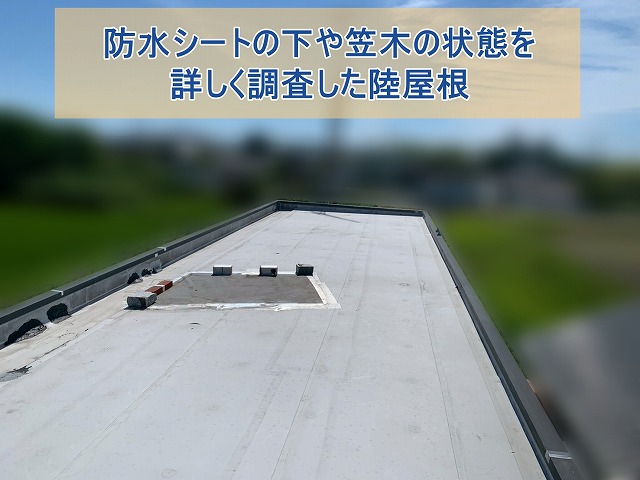 防水シートの下や笠木の状態を詳しく調査した陸屋根