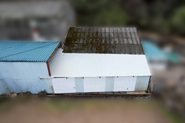 屋根を葺き替えて雨漏りリスクが低くなった工場屋根