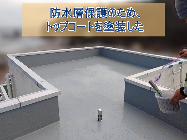 防水層保護のためトップコートを塗装した