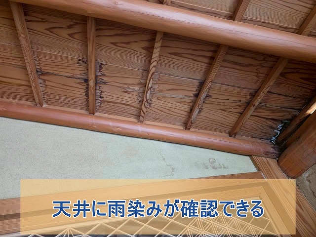 天井に雨染みが確認できた様子