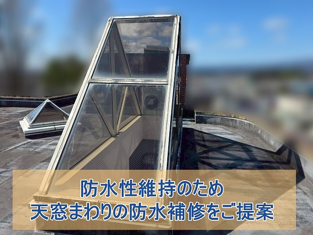 防水性維持のため、天窓周りの防水補修をご提案