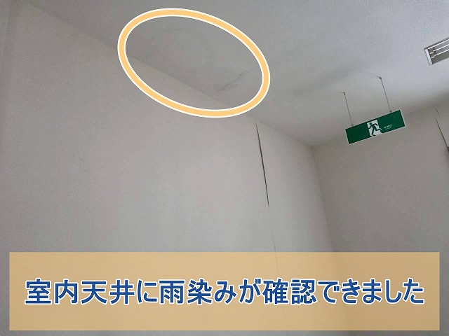 室内の天井に雨染みが確認できた