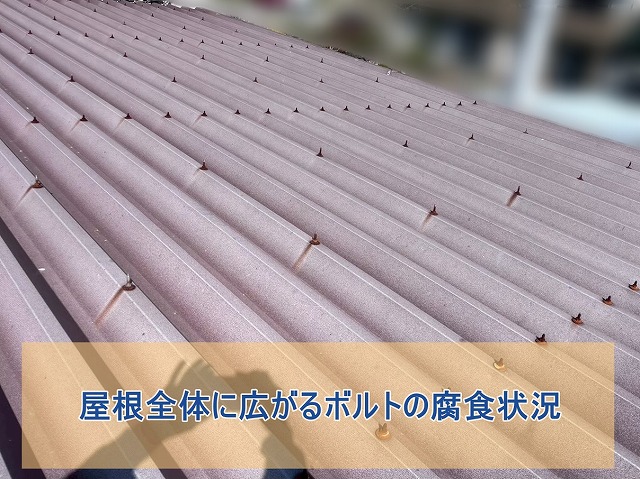 屋根全体に広がるボルトの腐食