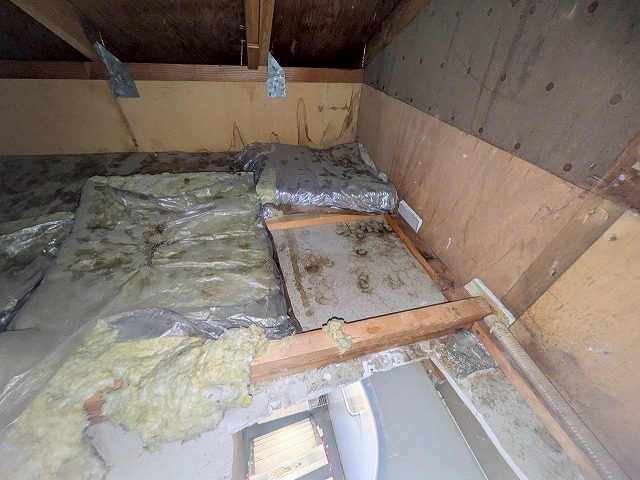 屋根裏の断熱材が汚れている様子