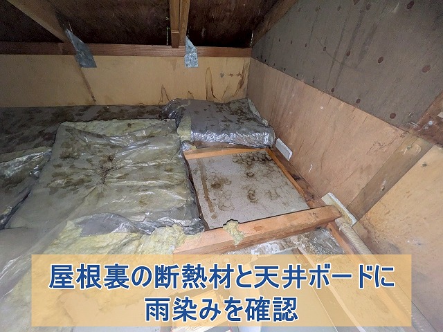 断熱材と天井ボードに雨漏りが確認できた状態