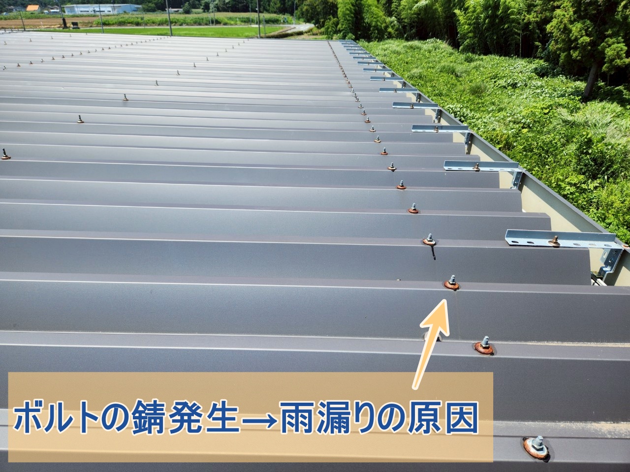 ボルトが錆びている金属折板屋根