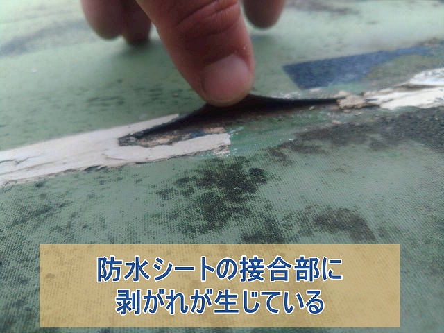 防水シートの接合部に剥がれ