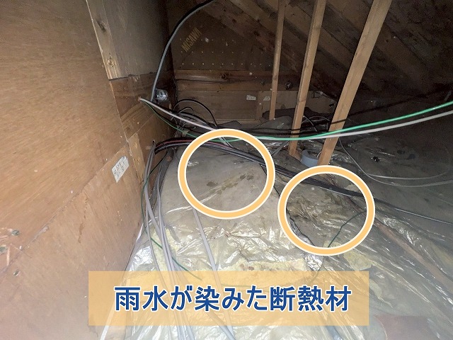 雨水が染みている様子の断熱材