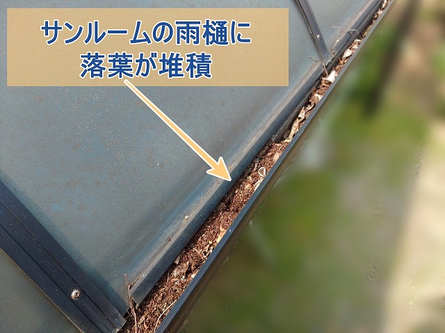 サンルームの雨樋に落ち葉が堆積している様子