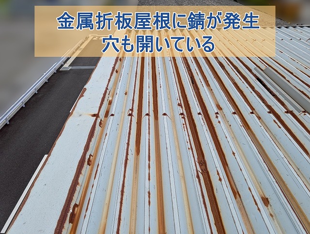 金属折板屋根に錆が発生して穴も開いている様子