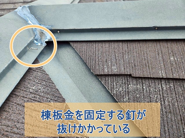 棟板金を固定する釘が抜けかかっている様子