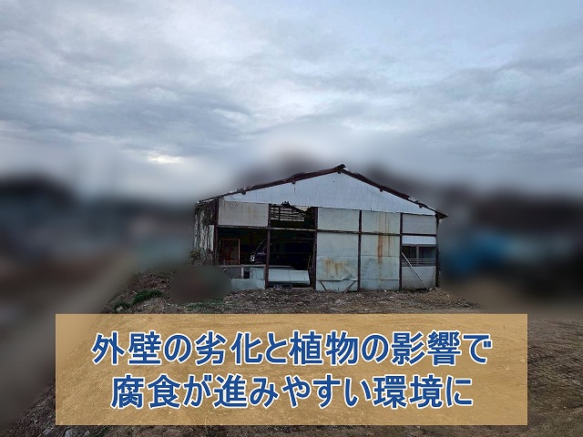 外壁劣化と植物の影響で腐食が進みやすくなってしまった倉庫