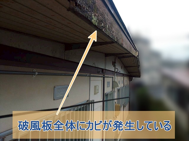 破風板全体にカビが発生している様子