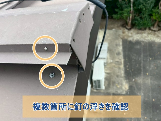 棟部分の複数箇所に釘の浮きを確認