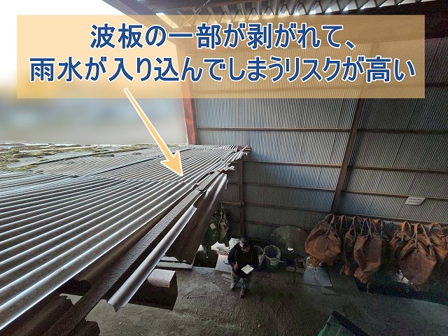 波板の一部が剥がれて水が入り込んでしまうリスクが高い様子