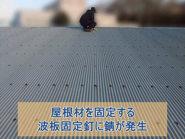 屋根材を固定する波板固定釘に錆が発生