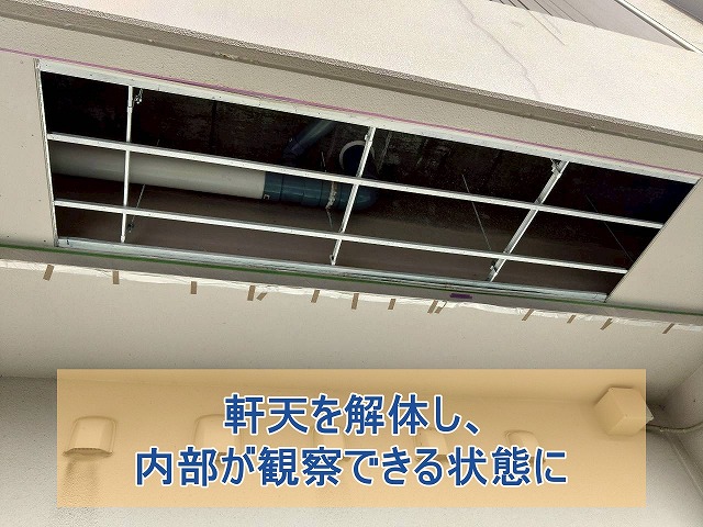 軒天を解体し内部が見える状態にした