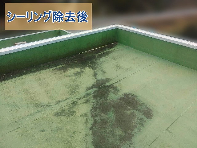 シーリング除去後の陸屋根