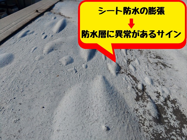 医療施設の陸屋根のシート防水ふ風船のように膨らんでいる