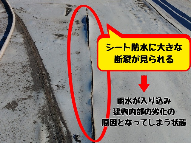 医療施設の陸屋根のシート防水の断裂している箇所