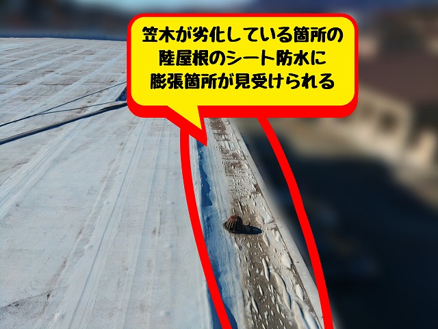 医療施設の陸屋根のシート防水の一部が膨張してしまっている