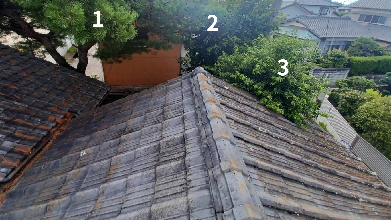 伐採する３本の木