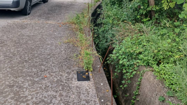 ブロック塀用の鉄筋が出た状態