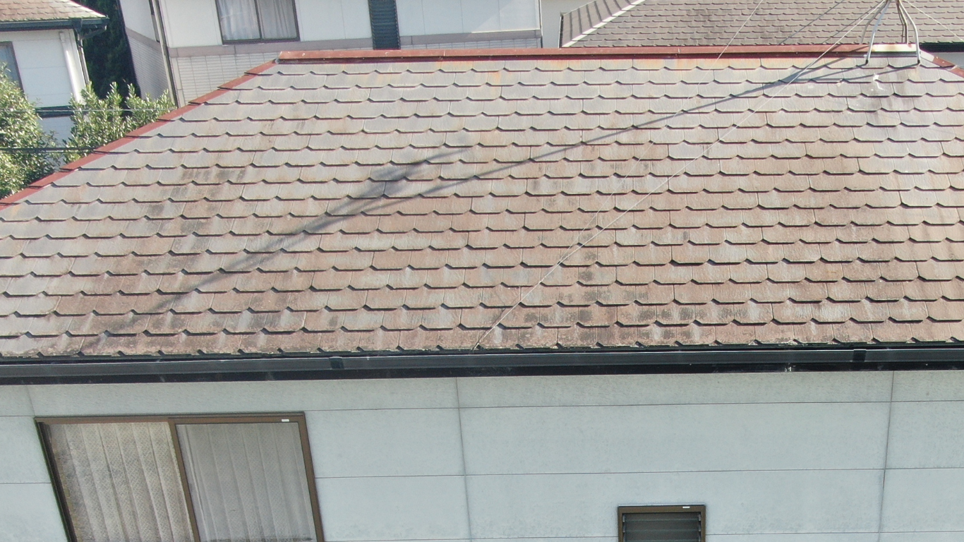 カビ苔が繁殖したスレート屋根